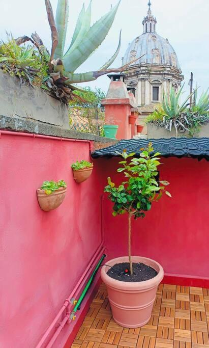 Attico Campo De Fiori Katia Appartamento Roma